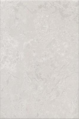Ферони серый светлый матовый 20x30x0,69
