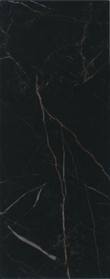 Алькала черный глянцевый 20x50x0,8