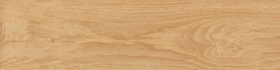 Аргания бежевый матовый 9,9x40,2x0,8