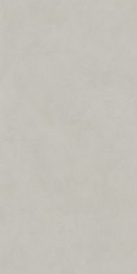 Про Чементо серый светлый матовый обрезной 119,5x238,5x1,1