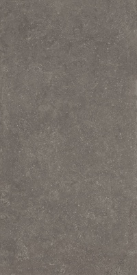 Касабланка RP коричневый матовый обрезной 60x119,5x0,9 Касабланка RP коричневый матовый обрезной 60x119,5x0,9