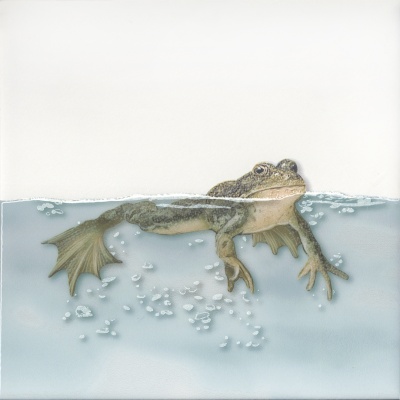 Декор Чудо-озеро 5 20x20x0,69 Декор Чудо-озеро 5 20x20x0,69