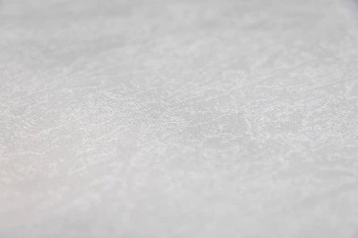 Обои виниловые на флизелиновой основе Ориент база, серый светлый