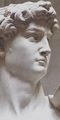 Ковер Давид 2 матовый обрезной 119,5x238,5x0,9 Ковер Давид 2 матовый обрезной 119,5x238,5x0,9