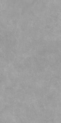 Про Стоун серый матовый обрезной 119,5x238,5x1,1