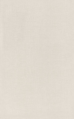 Ауленсия бежевый матовый 25x40x0,8