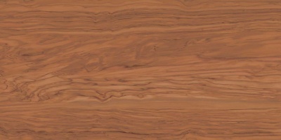 Олива коричневый обрезной 60x119,5x1,1